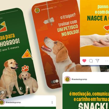 LinhaCriativa 💫 - Alcobaça - Design de UI