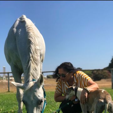 Fátima - Cascais - Hundeausführung