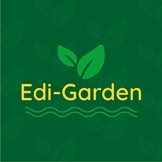 Edmilson - Loures - Land Clearance