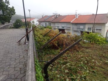 Fábio Sousa - Barcelos - Lawncare