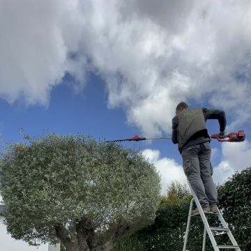 Edmilson - Loures - Gardening