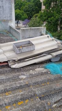 Delinear Serviços - Amadora - Limpeza de Colchão