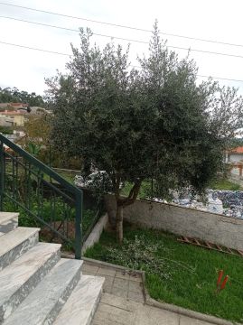 Fábio Sousa - Barcelos - Lawncare