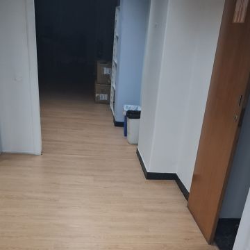 Madu Ferreira - Lisboa - Property Cleanup