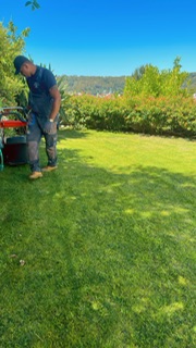 Edmilson - Loures - Lawn Mowing and Trimming