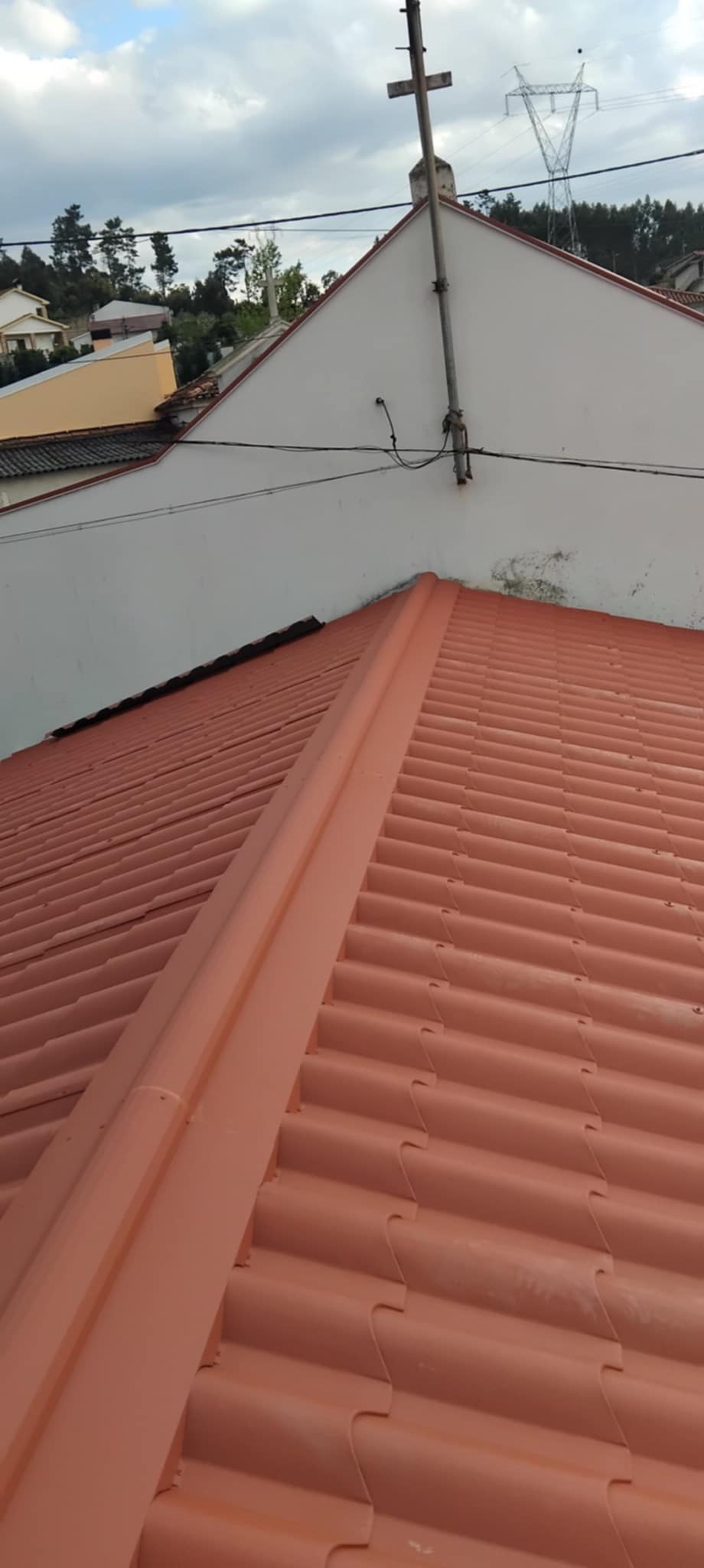FDA - Águeda - Limpeza de Telhado