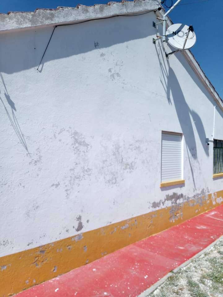 Pintor Ricardo - Torres Novas - Waste Removal