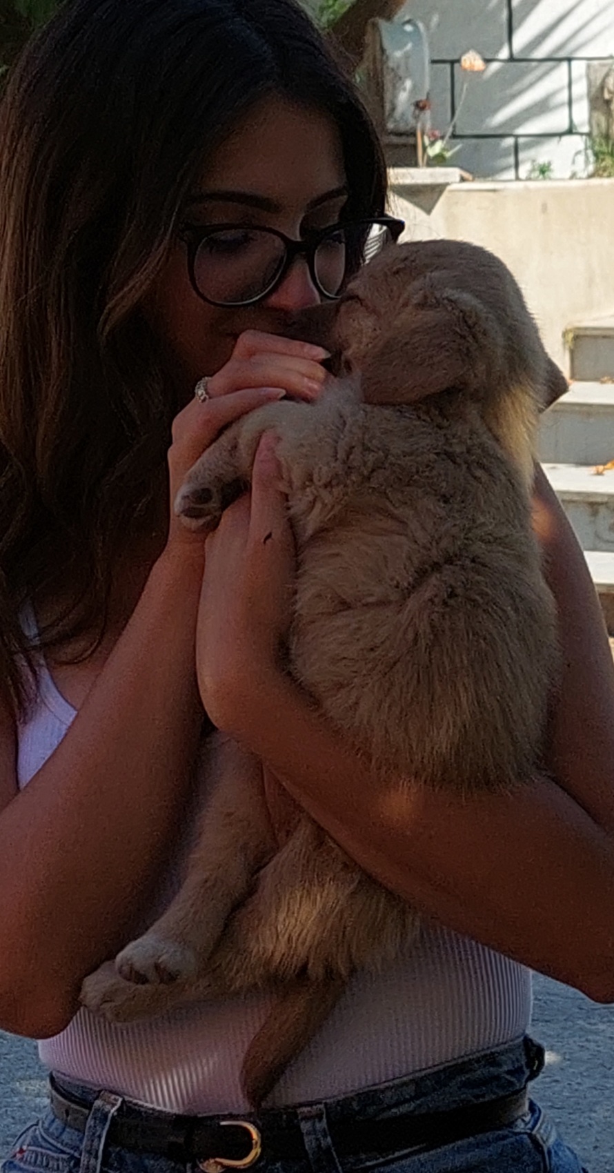 Bruna Vieira - Maia - Katzensitter