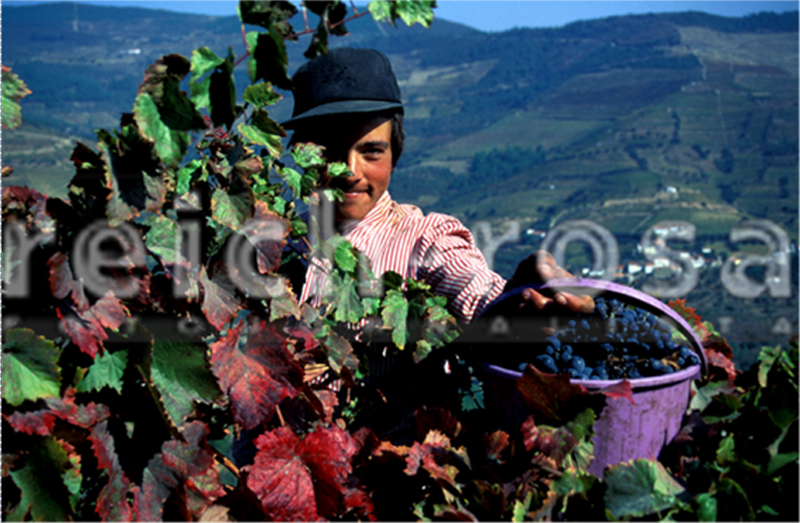 Victor Reich Rosa - Lisboa - Fotografia de Retrato de Família