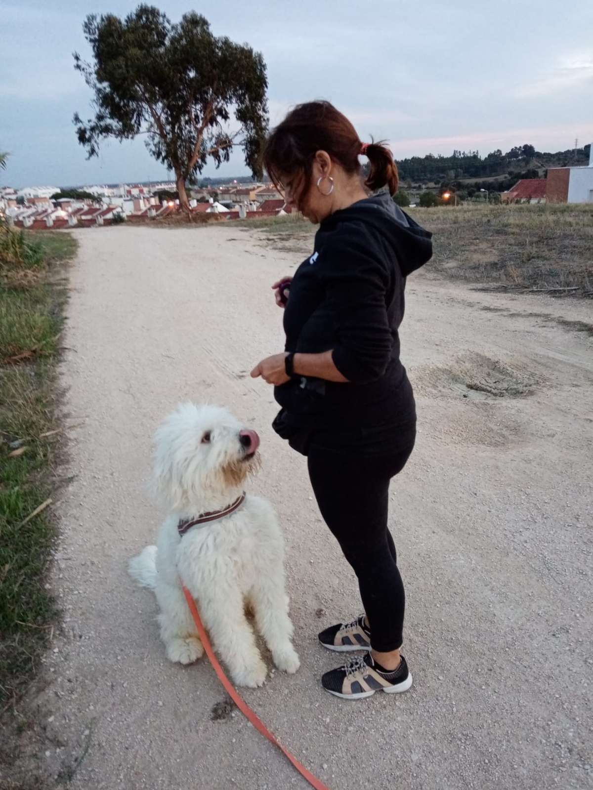 PositiveDog&Terapy Academia Canina - Azambuja - Hotel para Cães
