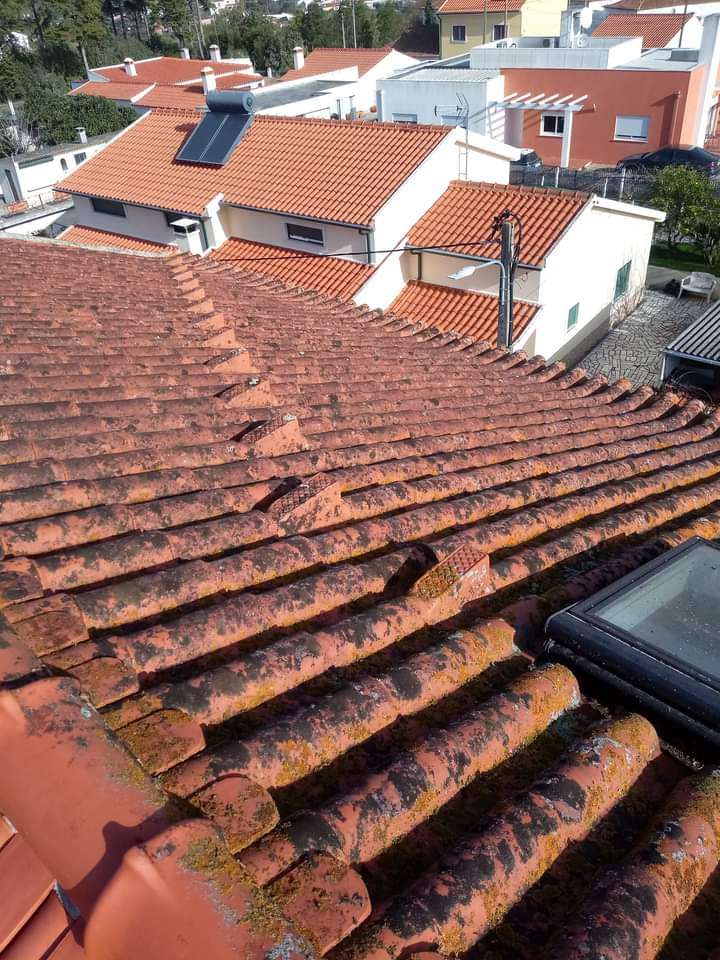 Pintor Ricardo - Torres Novas - Roof Installation or Replacement