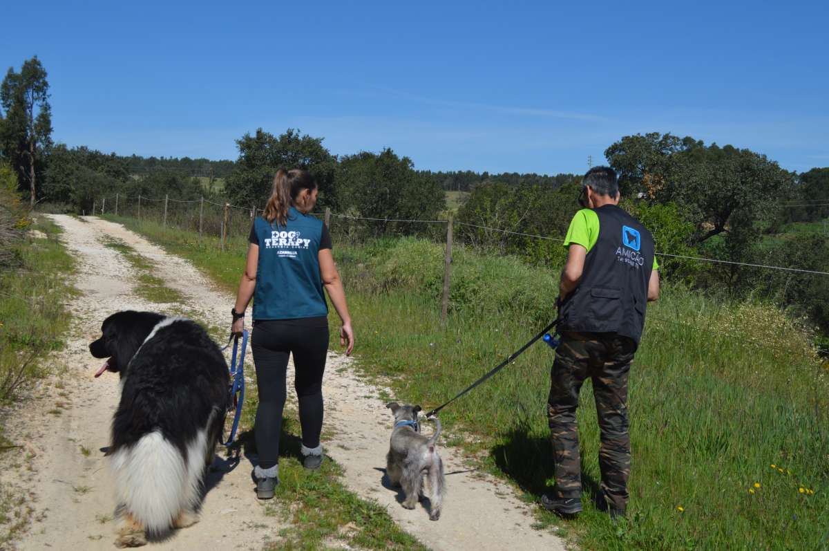 PositiveDog&Terapy Academia Canina - Azambuja - Treino Animal e Modificação Comportamental (Não-canino)