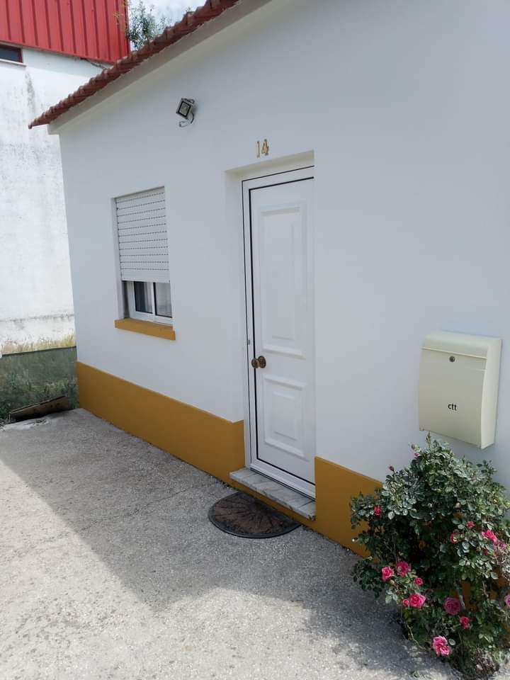 Pintor Ricardo - Torres Novas - Asbestos Removal
