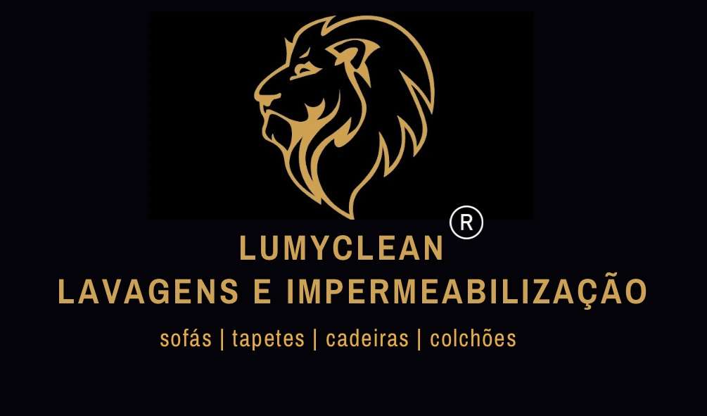 LUMYCLEAN - Oeiras - Apartment Cleaning