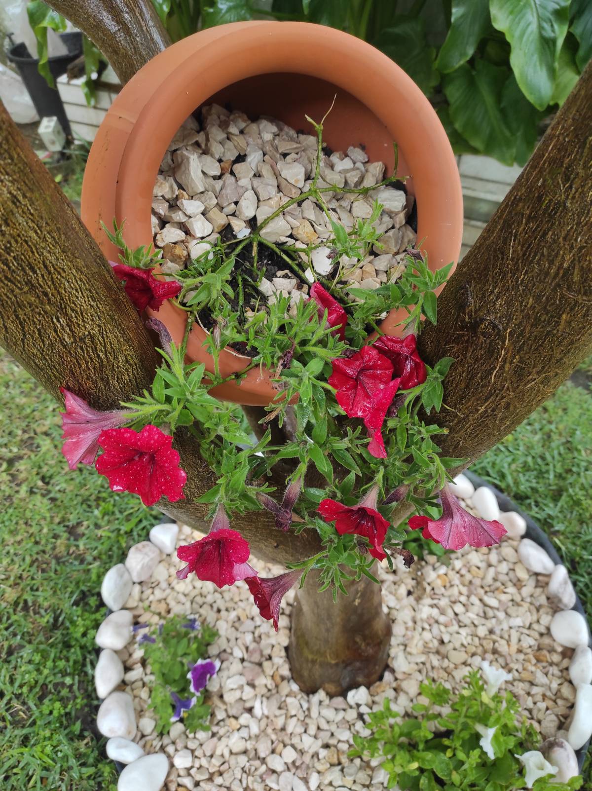 Jardins Pinto - Vila Nova de Gaia - Remoção de Arbustos