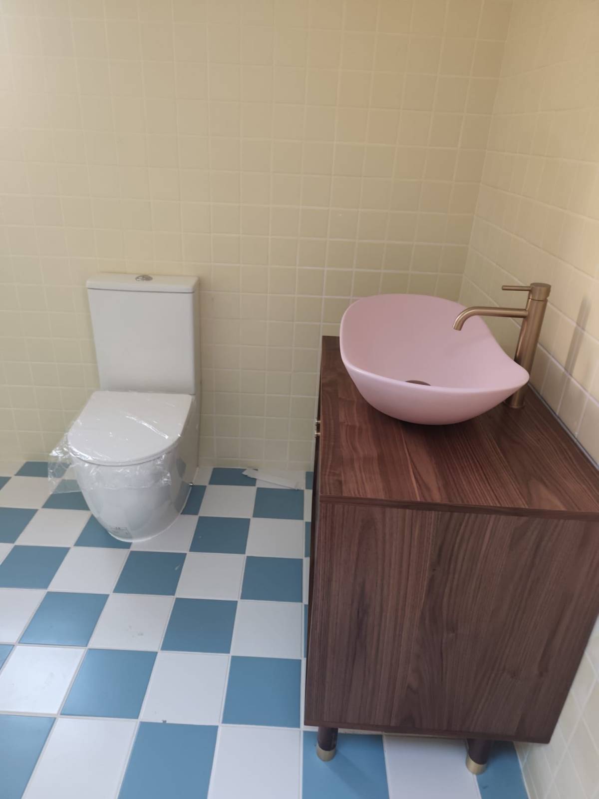 RJ360 Construção e Recuperação LDA - Castelo Branco - Toilette installieren