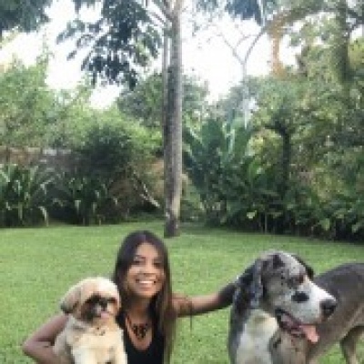Isabelle Almeida - Montijo - Pet Sitting e Pet Walking