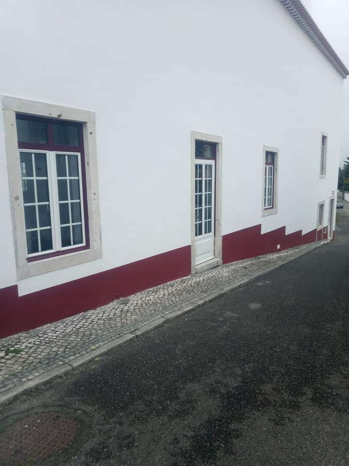 Pintor Ricardo - Torres Novas - Insulation