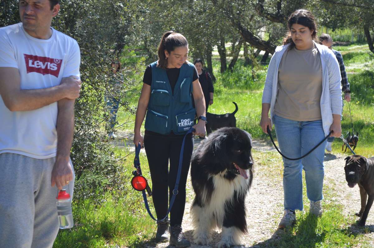 PositiveDog&Terapy Academia Canina - Azambuja - Creche para Cães