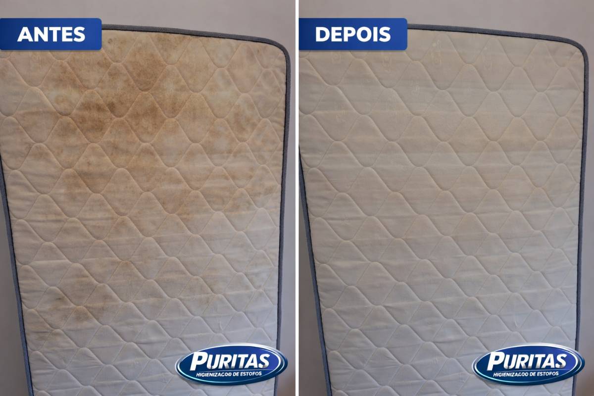Puritas - Higienização de Estofos - Viseu - Nettoyage