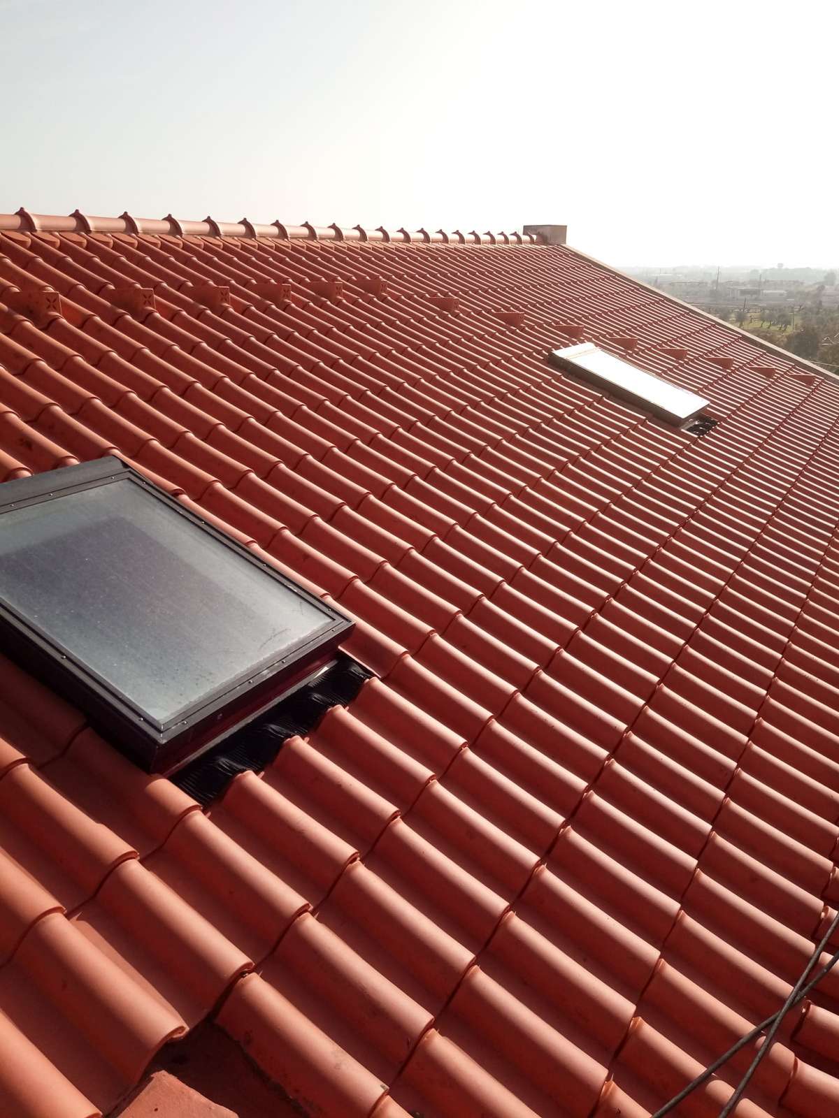 Pintor Ricardo - Torres Novas - Buildings Painting