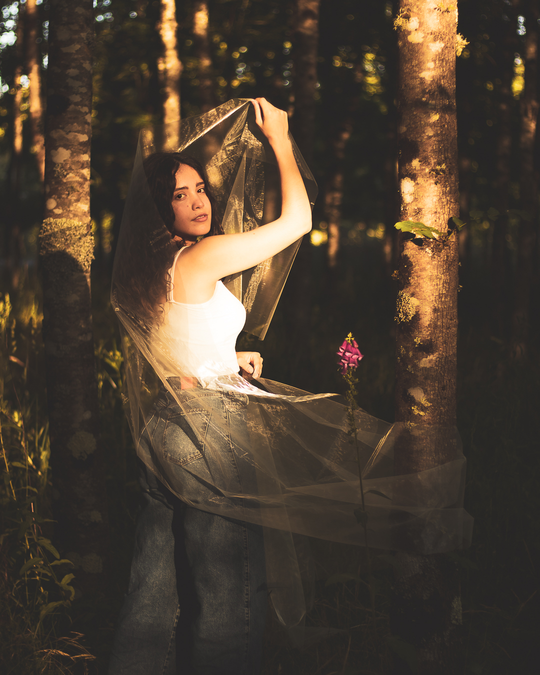 Diogo Sousa - Gondomar - Photographie de portrait
