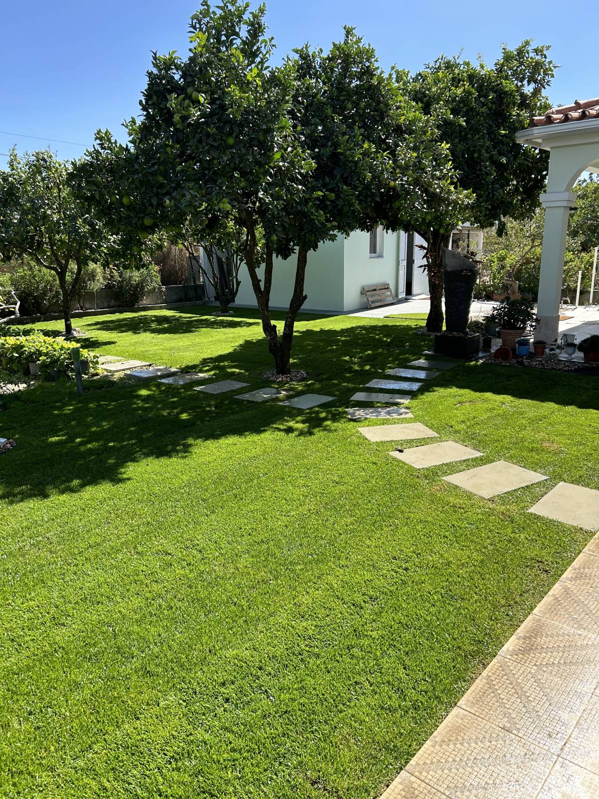 Jardim_Real - Loures - Multi Service Lawn Care
