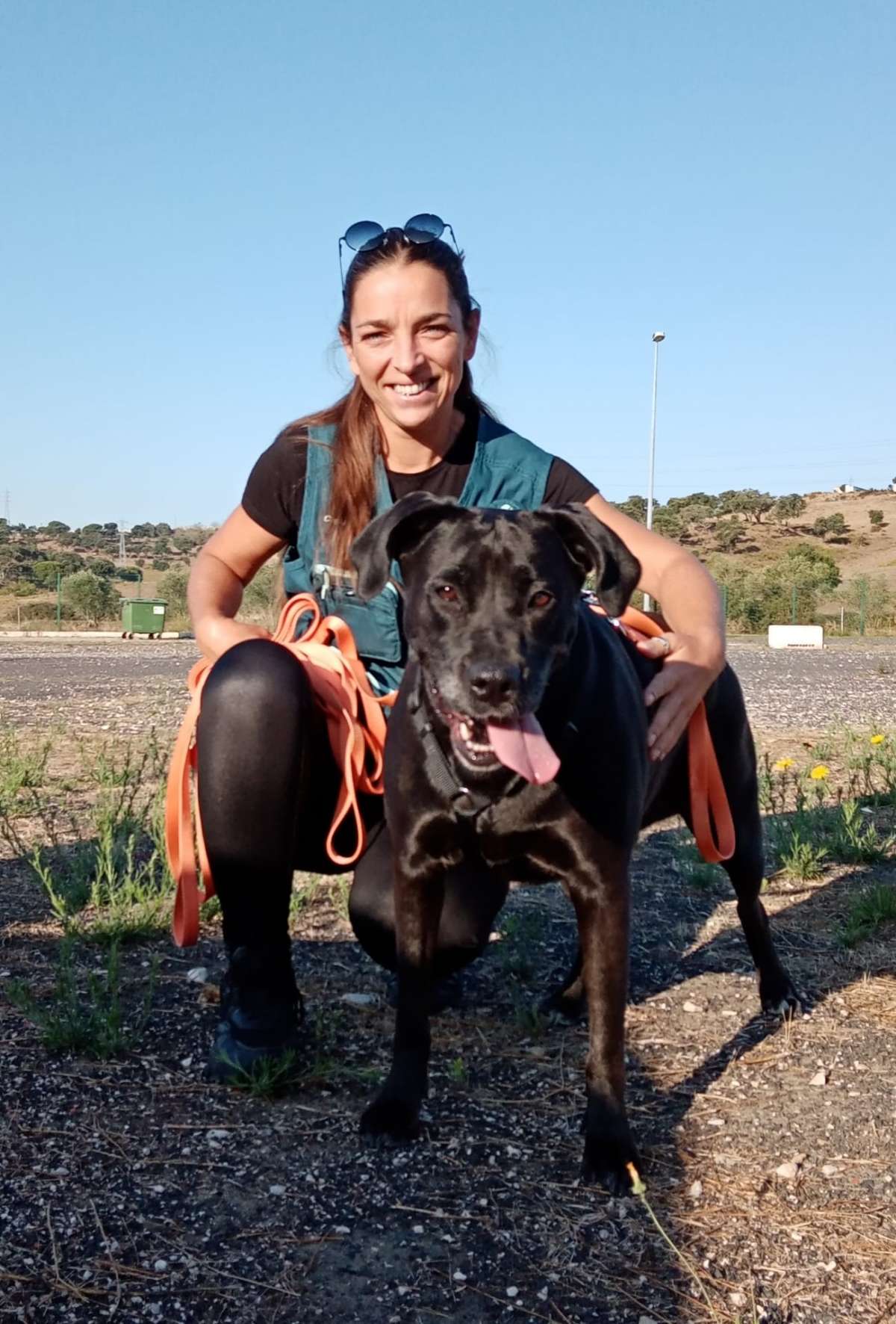 PositiveDog&Terapy Academia Canina - Azambuja - Dog Walking