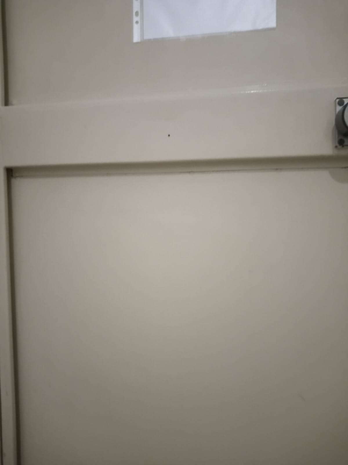Pintor Ricardo - Torres Novas - Door Painting
