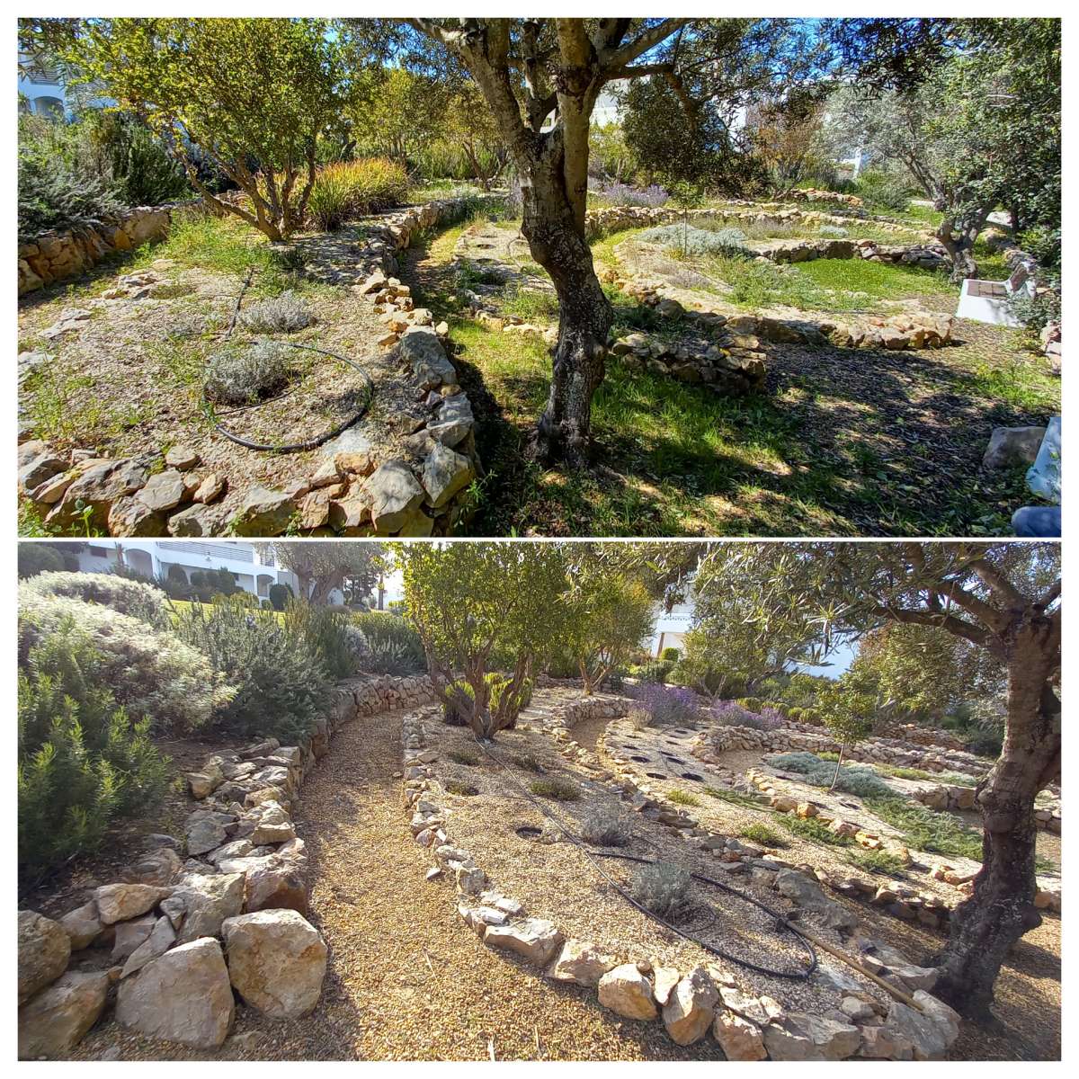 Fábio Miguel Martins Medeira - Albufeira - Tree Stump Grinding and Removal