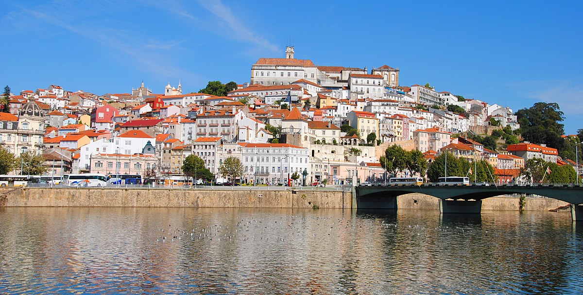 Alejandro Carvajal - Coimbra - Home Care Support