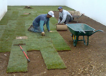 Verde Limpo - Maia - Trituración y eliminación de tocones