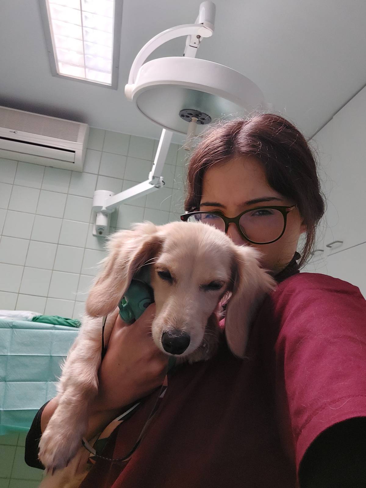 Bruna Vieira - Maia - Hundeausführung
