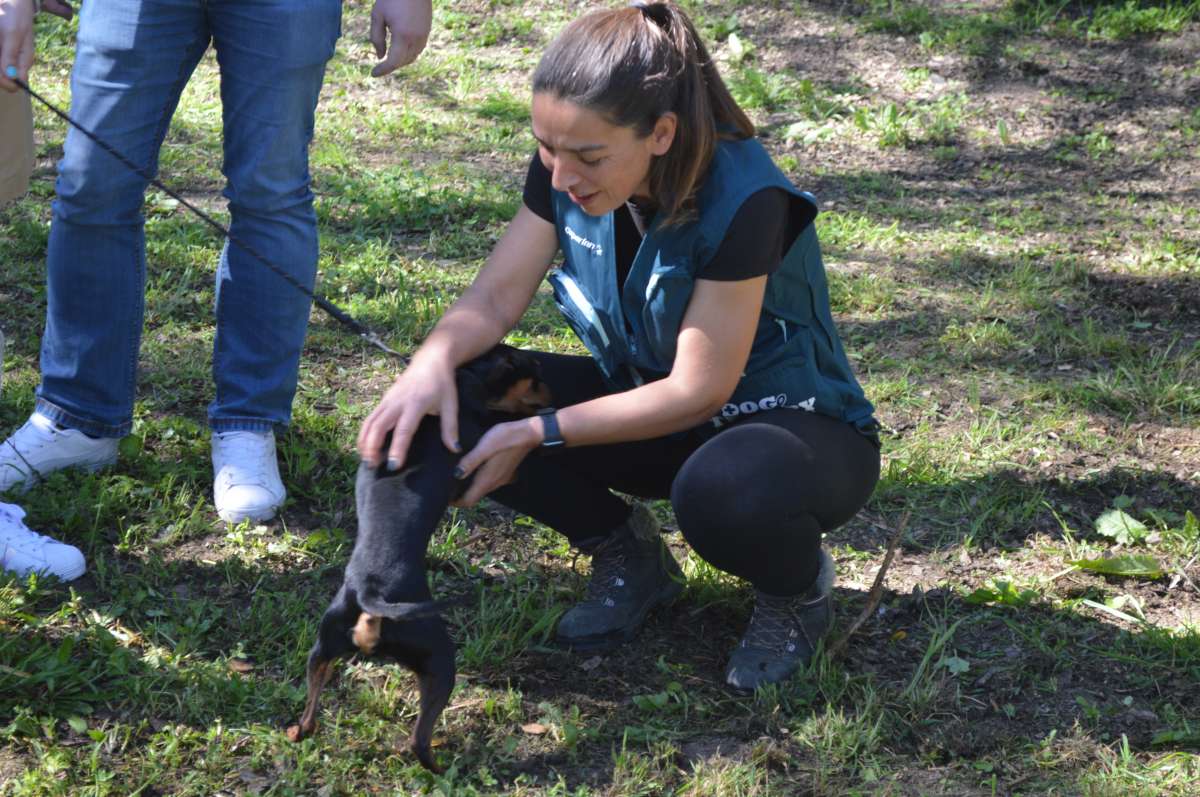 PositiveDog&Terapy Academia Canina - Azambuja - Modificação de Comportamento Animal
