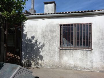 Roof Installation Professional