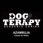 PositiveDog&Terapy Academia Canina - Azambuja - Treino de Cães - Aulas