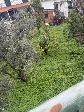 Jardinage