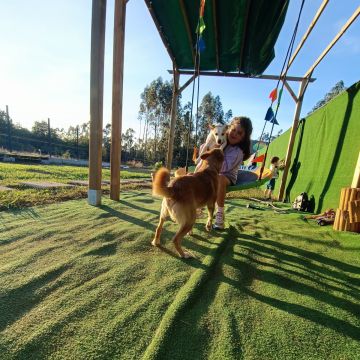 Lolitas Pet Hotel e Spa - Ovar - Pet Hotel