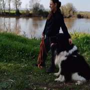 PositiveDog&Terapy Academia Canina - Azambuja - Pet Sitting