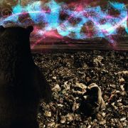 Nuno Mieiro - Aveiro - Animation
