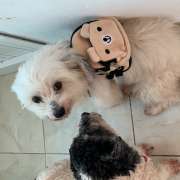 Ohana Lopes - Sintra - Home Organizing