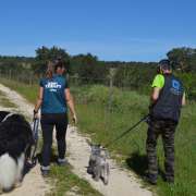 PositiveDog&Terapy Academia Canina - Azambuja - Treino Animal e Modificação Comportamental (Não-canino)