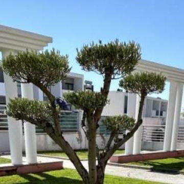 Jardim_Real - Loures - Sauna Repair or Maintenance