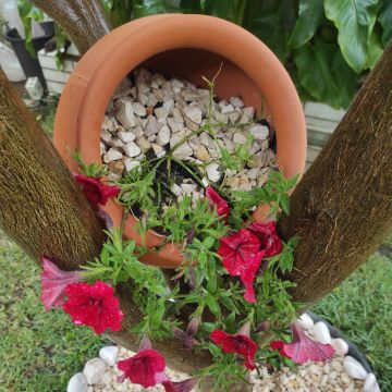 Jardins Pinto - Vila Nova de Gaia - Remoção de Arbustos