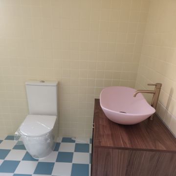 RJ360 Construção e Recuperação LDA - Castelo Branco - Toilette installieren