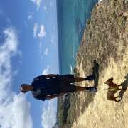 Carlos Axel - Amadora - Dog Hotel