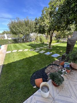 Jardim_Real - Loures - Lawn Mowing and Trimming