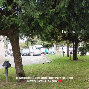 Karol - Porto - Dog Walking