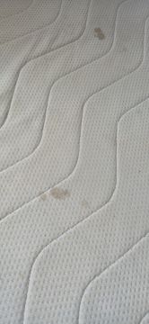 R2 service for your home - Seixal - Limpieza de alfombras