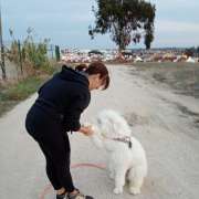 PositiveDog&Terapy Academia Canina - Azambuja - Modificação de Comportamento Animal